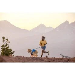 Ruffwear Trail Runner Leine -Hund Sache Getchaft ruffwear leine trail runner web 6