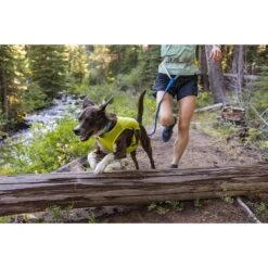 Ruffwear Trail Runner Leine -Hund Sache Getchaft ruffwear leine trail runner web 7