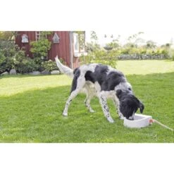 Trixie Automatische Outdoor-Tränke 1,5 L -Hund Sache Getchaft trixie automatische outdoor tranke 1 5l 4