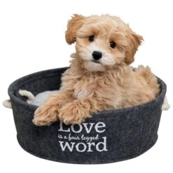 Trixie Filzschlafplatz Lian In Grau 10 Trixie Filzschlafplatz Lian In Grau -Hund Sache Getchaft trixie bett lian 2