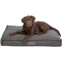 Trixie Be Eco Kissen Coline Dunkelgrau -Hund Sache Getchaft trixie be eco kissen coline 4