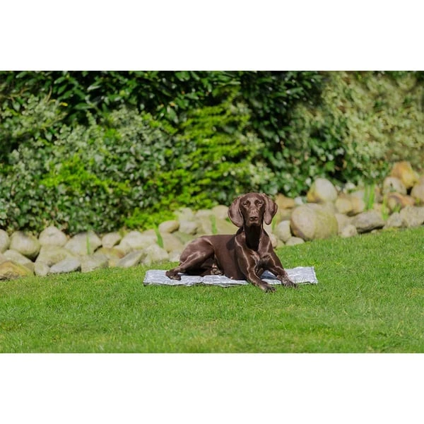 Trixie Kühlmatte Soft XL 90x60cm 5 Trixie Kühlmatte Soft XL 90x60cm – Bild 3