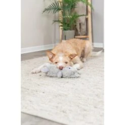 Trixie Plüsch Monster 32 Cm -Hund Sache Getchaft trixie monster mit tau 3