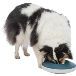 Trixie Slow Feeding Rocking Bowl 0,5l 10 Trixie Slow Feeding Rocking Bowl 0,5l -Hund Sache Getchaft trixie slow feeding rocking bowl 3