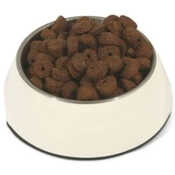 Vollmer's Große Rassen Trockenfutter 15 Kg -Hund Sache Getchaft vollmers grosse rassen trockenfutter 15kg 3