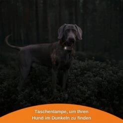 Weenect XS GPS Tracker Für Hunde Weiß -Hund Sache Getchaft weenect xs gps tracker fur hunde weiss 10