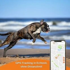 Weenect XS GPS Tracker Für Hunde Weiß -Hund Sache Getchaft weenect xs gps tracker fur hunde weiss 6