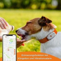 Weenect XS GPS Tracker Für Hunde Weiß -Hund Sache Getchaft weenect xs gps tracker fur hunde weiss 7