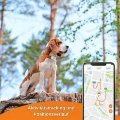 Weenect XS GPS Tracker Für Hunde Weiß -Hund Sache Getchaft weenect xs gps tracker fur hunde weiss 8