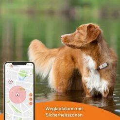 Weenect XS GPS Tracker Für Hunde Weiß -Hund Sache Getchaft weenect xs gps tracker fur hunde weiss 9