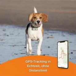 Weenect Dogs 2 - GPS Tracker Für Hunde 11 Weenect Dogs 2 - GPS Tracker Für Hunde -Hund Sache Getchaft weenect dog2 3
