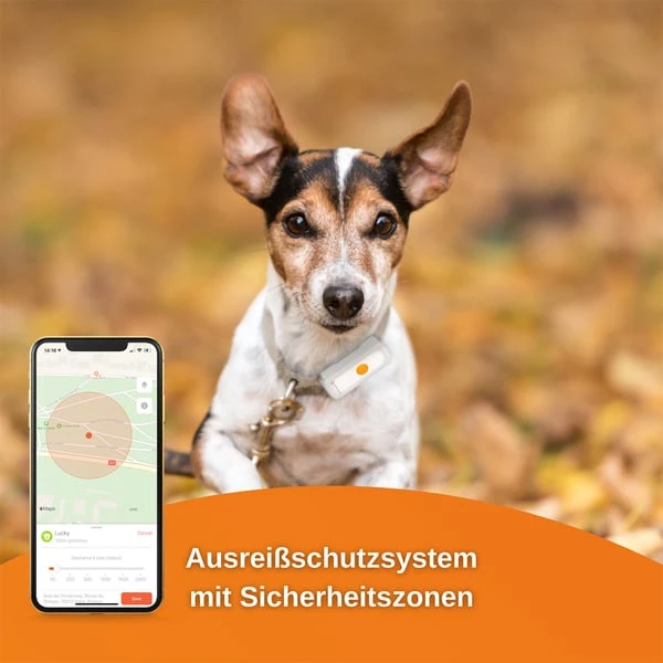 Weenect Dogs 2 - GPS Tracker Für Hunde 7 Weenect Dogs 2 - GPS Tracker Für Hunde – Bild 5