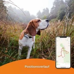 Weenect Dogs 2 - GPS Tracker Für Hunde 15 Weenect Dogs 2 - GPS Tracker Für Hunde -Hund Sache Getchaft weenect dog2 7