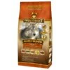Wolfsblut Alaska Salmon 2 Wolfsblut Alaska Salmon -Hund Sache Getchaft wolfsblut alaska salmon adult trockenfutter mit lachs