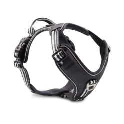 Wolters Geschirr Active Pro Schwarz