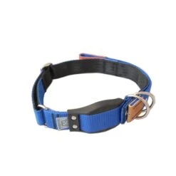 WowWow Professional Halsband Blau -Hund Sache Getchaft wowwow halsband blau