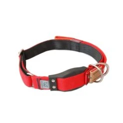 WowWow Professional Halsband Rot -Hund Sache Getchaft wowwow halsband rot