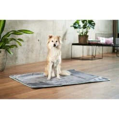 ZooRoyal Kuscheldecke Levi Anthrazit 120 X 100 Cm -Hund Sache Getchaft zooroyal decke levi anthrazit 120 x 100 cm 15e2056cb73d3f
