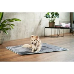 ZooRoyal Kuscheldecke Levi Anthrazit 120 X 100 Cm -Hund Sache Getchaft zooroyal decke levi anthrazit 120 x 100 cm 25e2056cc58938