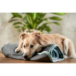 ZooRoyal Kuscheldecke Levi Anthrazit 120 X 100 Cm -Hund Sache Getchaft zooroyal decke levi anthrazit 120 x 100 cm 45e2056ce108b6