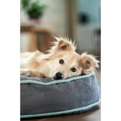 ZooRoyal Hundekissen Elias Anthrazit -Hund Sache Getchaft zooroyal hundekissen elias anthrazit 4