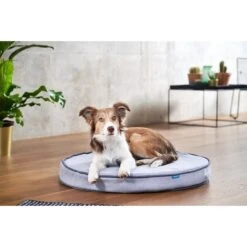 ZooRoyal Orthopädisches Hundekissen Elias Rund Grau -Hund Sache Getchaft zooroyal hundekissen elias rund grau 4