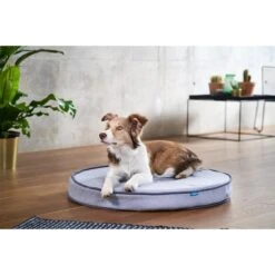 ZooRoyal Orthopädisches Hundekissen Elias Rund Grau -Hund Sache Getchaft zooroyal hundekissen elias rund grau 5