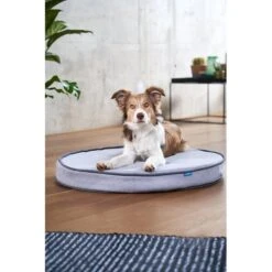 ZooRoyal Orthopädisches Hundekissen Elias Rund Grau -Hund Sache Getchaft zooroyal hundekissen elias rund grau 6