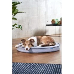 ZooRoyal Orthopädisches Hundekissen Elias Rund Grau -Hund Sache Getchaft zooroyal hundekissen elias rund grau 7