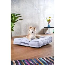 ZooRoyal Hundekissen Max Grau -Hund Sache Getchaft zooroyal hundekissen max grau 5