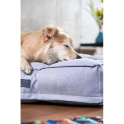 ZooRoyal Hundekissen Max Grau -Hund Sache Getchaft zooroyal hundekissen max grau 8