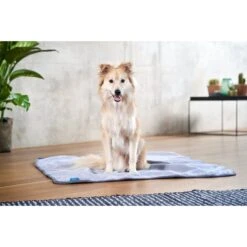 ZooRoyal Decke Levi Grau 120 X 100 Cm 18 ZooRoyal Decke Levi Grau 120 X 100 Cm -Hund Sache Getchaft zooroyal kuscheldecke levi grau 6