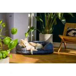 ZooRoyal Orthopädisches Hundebett Lasse 19 ZooRoyal Orthopädisches Hundebett Lasse -Hund Sache Getchaft zooroyal orthopadisches hundebett lasse 5