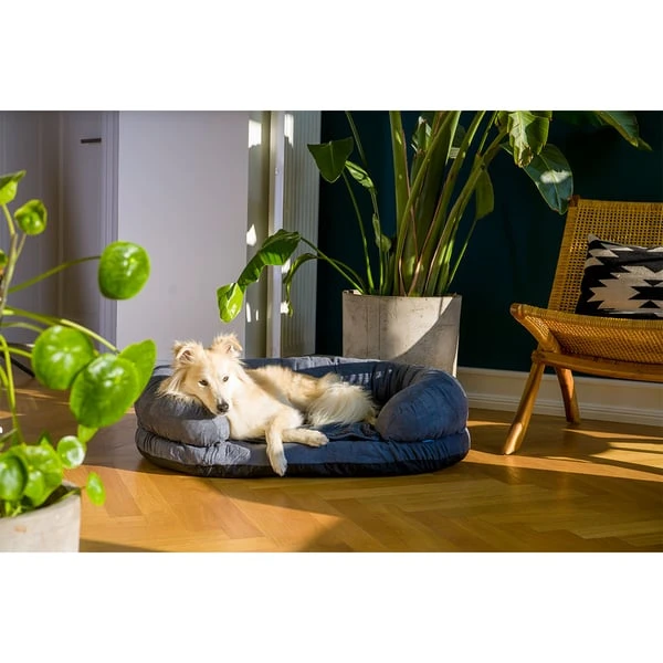 ZooRoyal Orthopädisches Hundebett Lasse 7 ZooRoyal Orthopädisches Hundebett Lasse – Bild 5