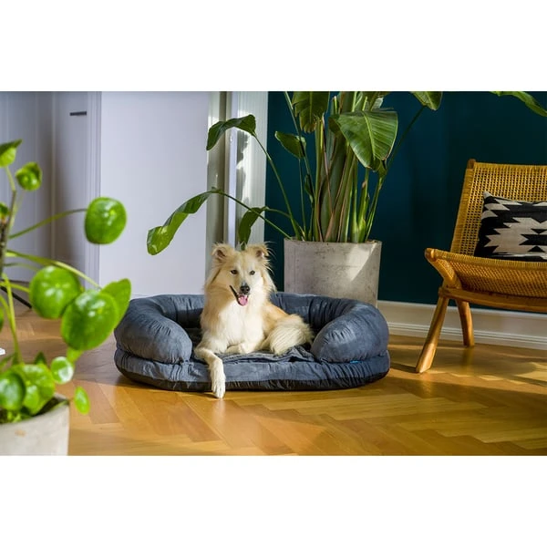 ZooRoyal Orthopädisches Hundebett Lasse 8 ZooRoyal Orthopädisches Hundebett Lasse – Bild 6