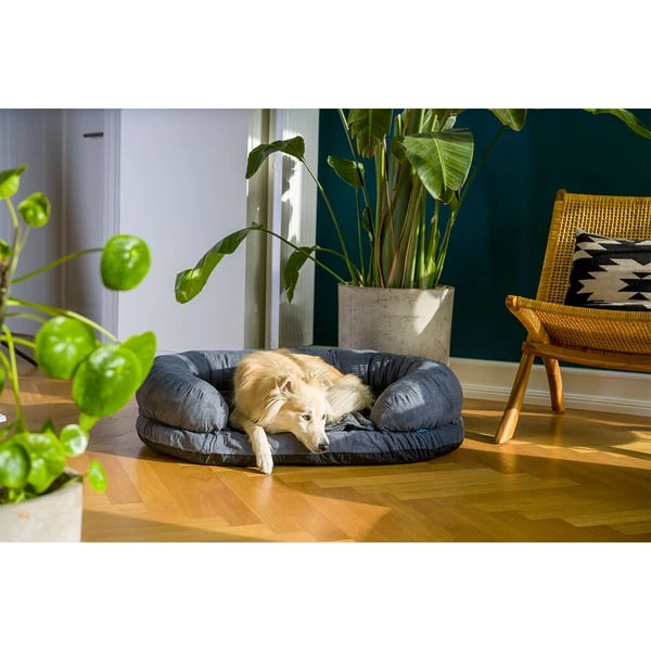 ZooRoyal Orthopädisches Hundebett Lasse 9 ZooRoyal Orthopädisches Hundebett Lasse – Bild 7