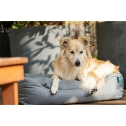 ZooRoyal Outdoorbett Noah -Hund Sache Getchaft zooroyal outdoorbett noah 12