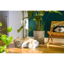 ZooRoyal Outdoorbett Noah -Hund Sache Getchaft zooroyal outdoorbett noah 5