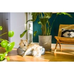 ZooRoyal Outdoorbett Noah -Hund Sache Getchaft zooroyal outdoorbett noah 6