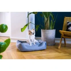 ZooRoyal Outdoorbett Noah -Hund Sache Getchaft zooroyal outdoorbett noah 7