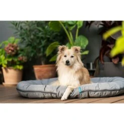 ZooRoyal Outdoorkissen Tamara 31 ZooRoyal Outdoorkissen Tamara -Hund Sache Getchaft zooroyal outdoorkissen tamara 10