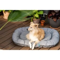 ZooRoyal Outdoorkissen Tamara 34 ZooRoyal Outdoorkissen Tamara -Hund Sache Getchaft zooroyal outdoorkissen tamara 13