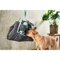 ZooRoyal Reisedecke Carl Anthrazit 120 X 85 Cm -Hund Sache Getchaft zooroyal reisedecke carl anthrazit 120 x 85 cm 25e2057298d78a