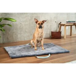 ZooRoyal Reisedecke Carl Anthrazit 120 X 85 Cm -Hund Sache Getchaft zooroyal reisedecke carl anthrazit 120 x 85 cm 55e20572c2e5e9