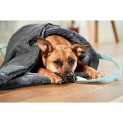 ZooRoyal Reisedecke Carl Anthrazit 120 X 85 Cm -Hund Sache Getchaft zooroyal reisedecke carl anthrazit 120 x 85 cm 65e20572d11fa2