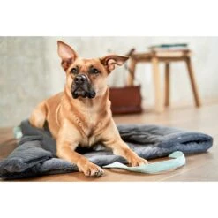 ZooRoyal Reisedecke Carl Anthrazit 120 X 85 Cm -Hund Sache Getchaft zooroyal reisedecke carl anthrazit 120 x 85 cm 7