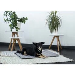 ZooRoyal Reisedecke Sam 75x60cm 10 ZooRoyal Reisedecke Sam 75x60cm -Hund Sache Getchaft zooroyal reisedecke sam dunkelgrau 3