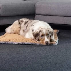 ZooRoyal Premium Haustier Kuscheldecke Luna 115x71 Cm -Hund Sache Getchaft zooroyal kuscheldecke luna braun web 3