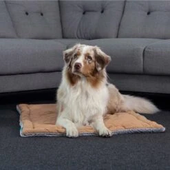 ZooRoyal Premium Haustier Kuscheldecke Luna 115x71 Cm -Hund Sache Getchaft zooroyal kuscheldecke luna braun web 4