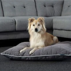 ZooRoyal Haustier Kuschelkissen Luna 75x60 Cm 8 ZooRoyal Haustier Kuschelkissen Luna 75x60 Cm -Hund Sache Getchaft zooroyal kuschelkissen luna anthrazit web 3